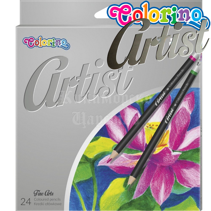 Colorino Artist   24  65221